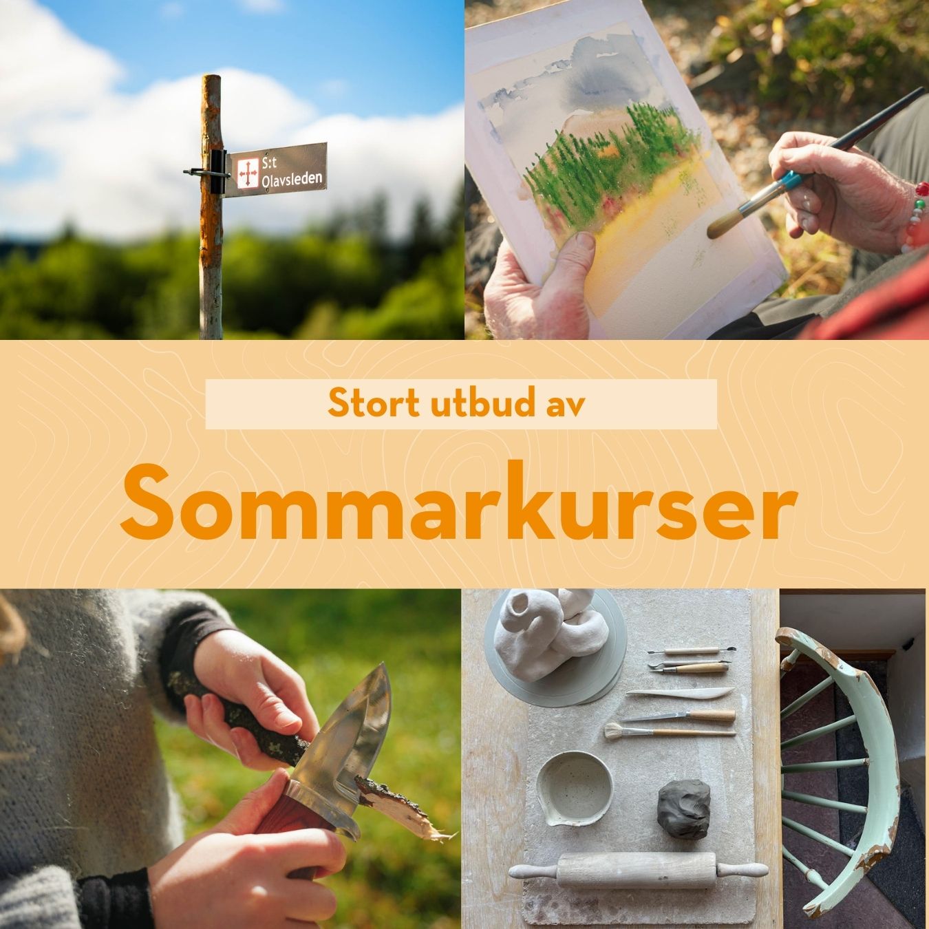 Annons för sommarkurser